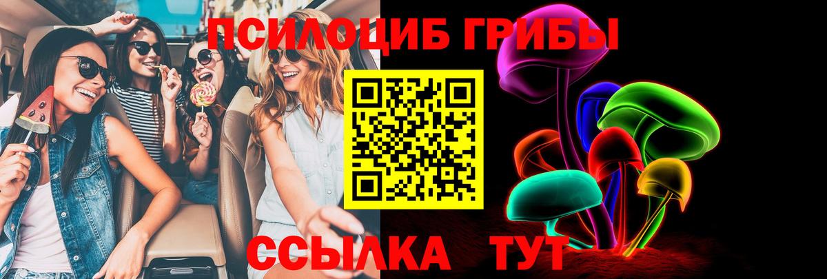 Псилоцибиновые грибы MAGIC MUSHROOMS  Вход с VPN  наркошоп  Псилоцибиновые грибы Psilocybe  Кудрово 